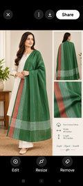 Forest Stripe Dupatta — supplied reference image